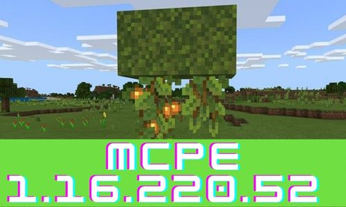 Download Minecraft PE 1.16.220.52 apk free