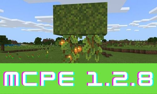 Minecraft PE 1.2.8 poster