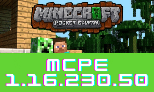 Minecraft PE 1.16.230.50 poster