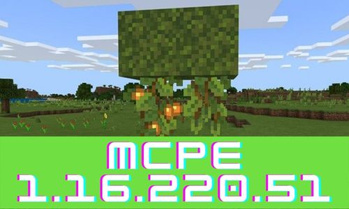 Minecraft Pocket Edition 1.16.220.51 poster
