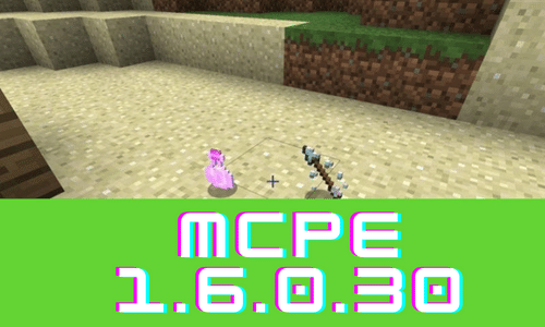 Minecraft PE 1.6.0.30 Apk Free Download