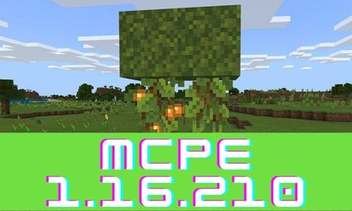 Minecraft PE 1.16.210